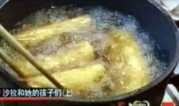 犹太沙拉爆料视频播放,揭秘幕后的惊人真相